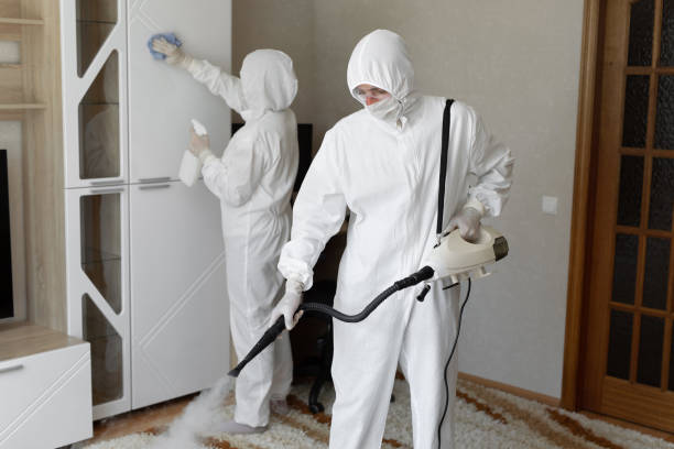 Best Post-Flood Mold Remediation in Martin, SD